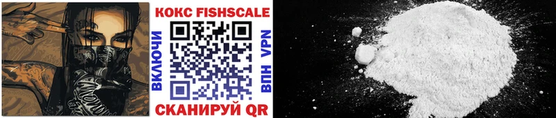 закладка  Кулебаки  Cocaine FishScale 